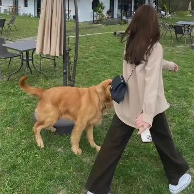 烟囱小镇的普佩